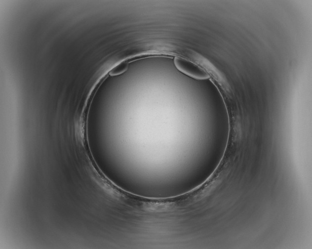 X0000116311284200912071301