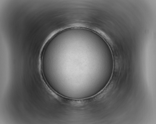 X0000116311286200912071301