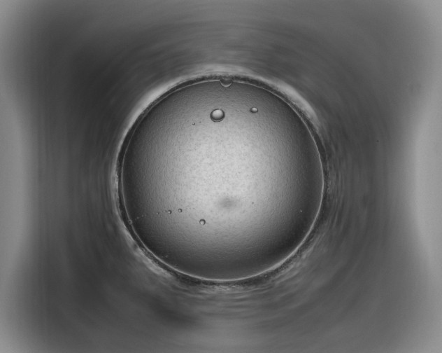 X0000116311287200912071301