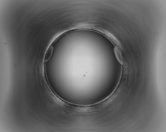 X0000116311288200912071301