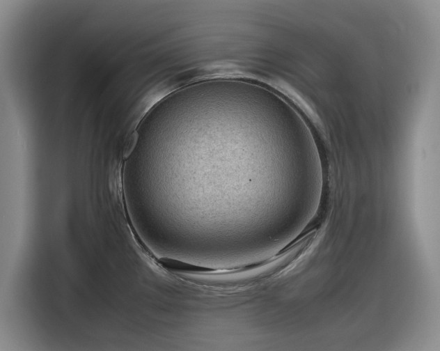 X0000116311289200912071301