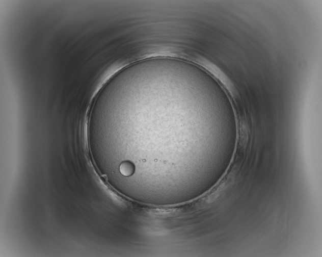 X0000116311290200912071301