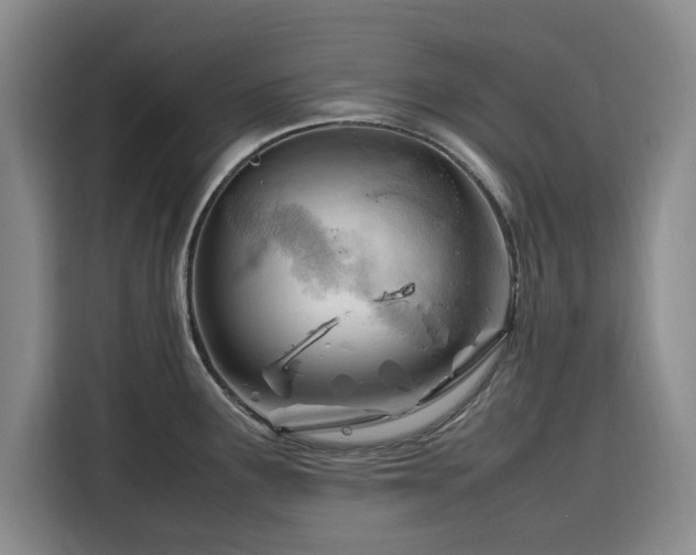 X0000116311291200912071301