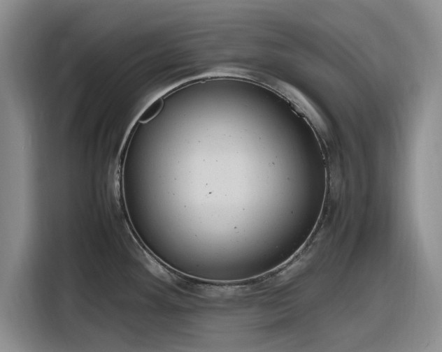 X0000116311292200912071301