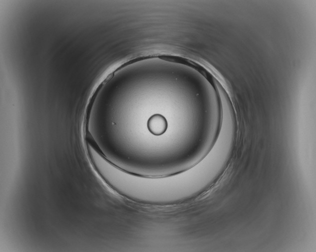 X0000116311293200912071301