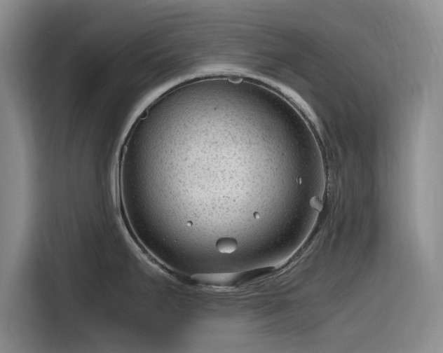 X0000116311295200912071301