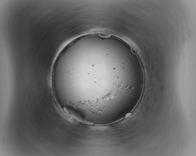 X0000116311296200912071301