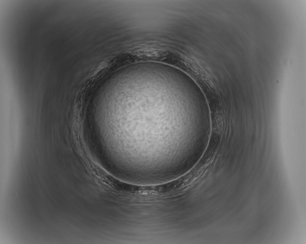 X0000116311297200912071300