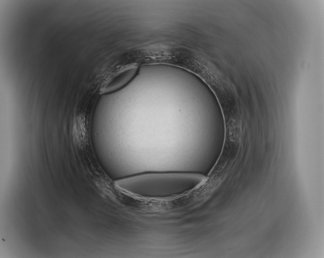 X0000116311298200912071300