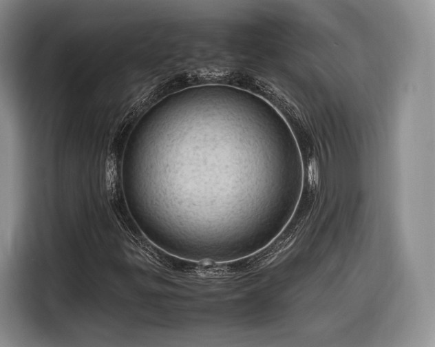 X0000116311299200912071300