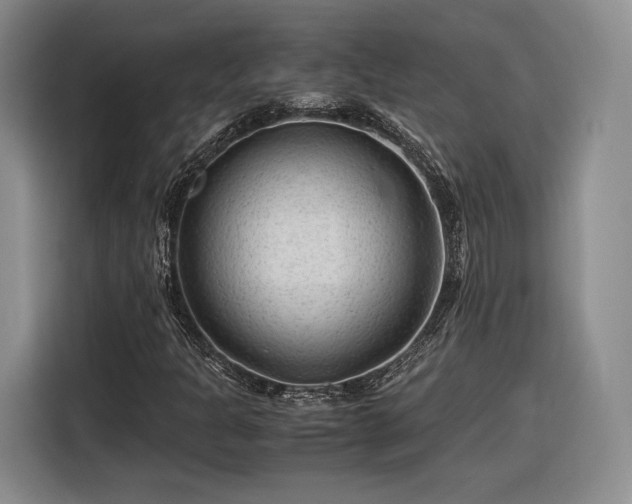 X0000116311301200912071300