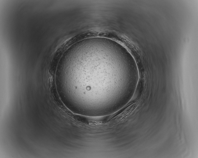 X0000116311302200912071300