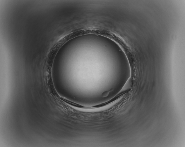 X0000116311303200912071300