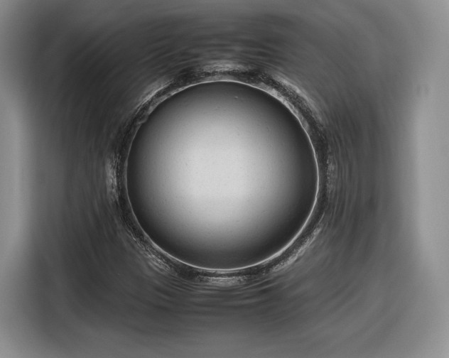 X0000116311305200912071300