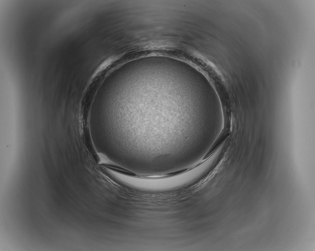 X0000116311306200912071300