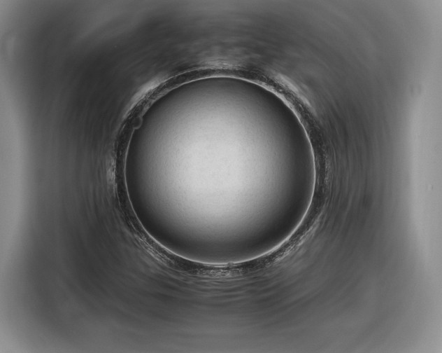 X0000116311307200912071300