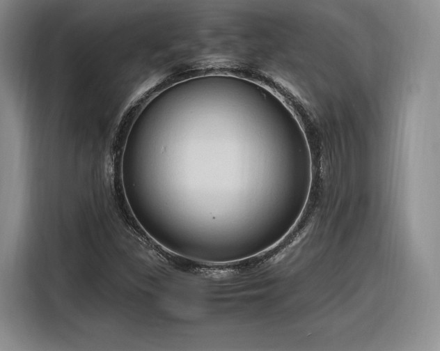 X0000116311309200912071300