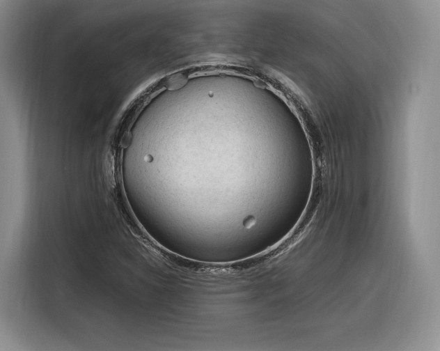 X0000116311310200912071300