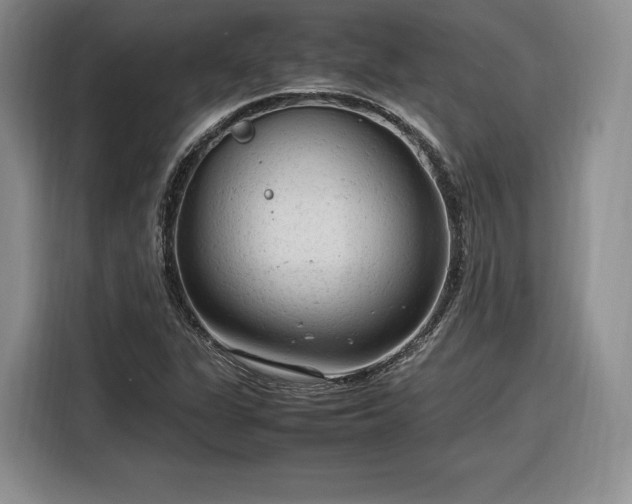 X0000116311311200912071300