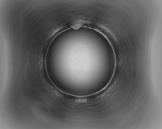 X0000116311313200912071300