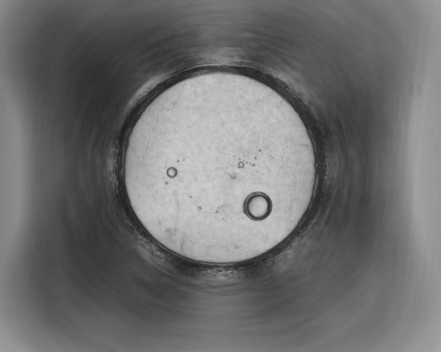 X0000116311314200912071300