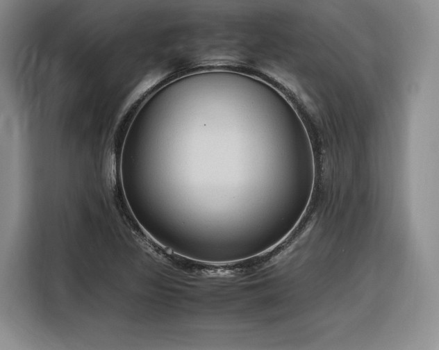 X0000116311317200912071300