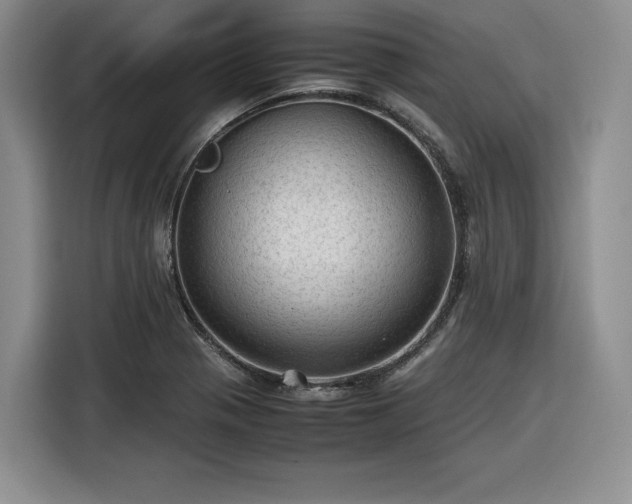 X0000116311321200912071300