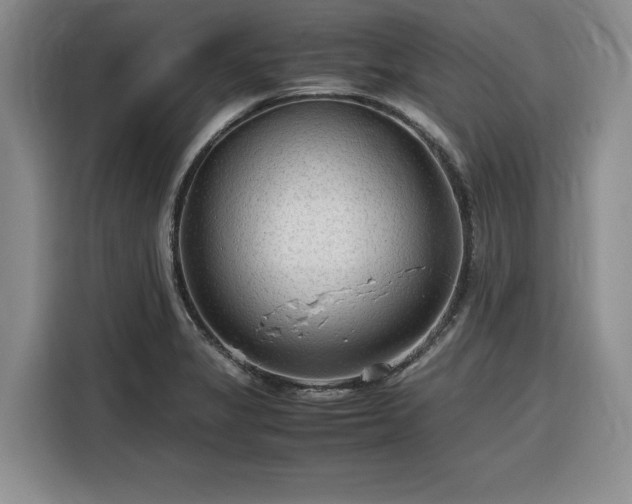 X0000116311325200912071301