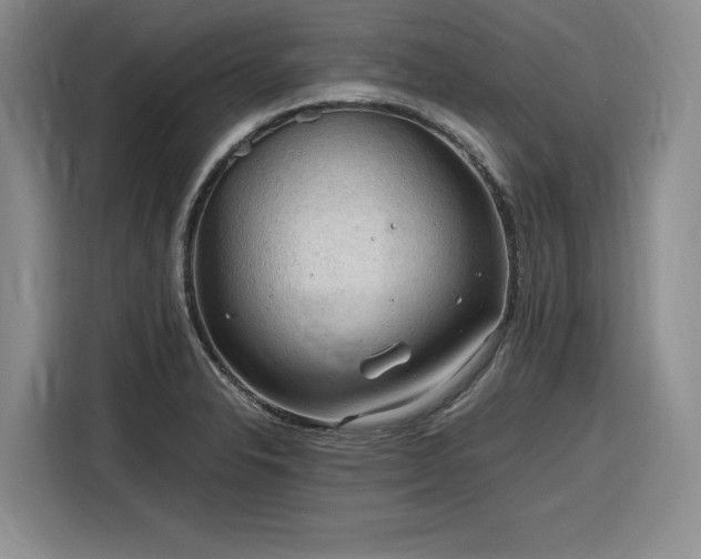 X0000116311326200912071301