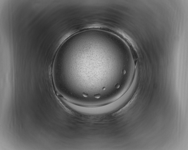 X0000116311329200912071301