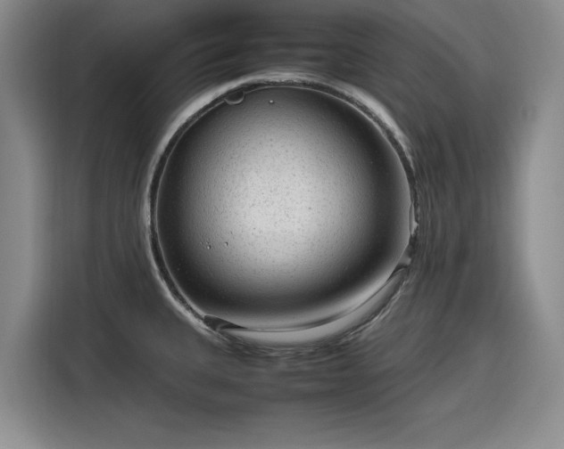 X0000116311335200912071301