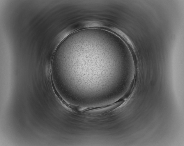 X0000116311337200912071301