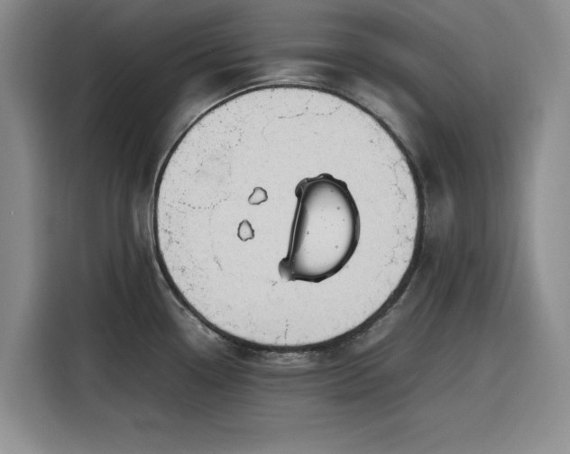 X0000116311338200912071301