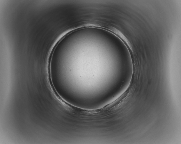 X0000116311339200912071301