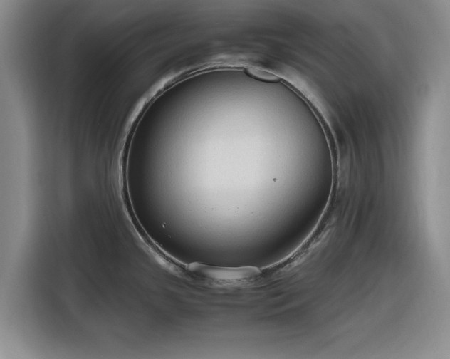 X0000116311341200912071301