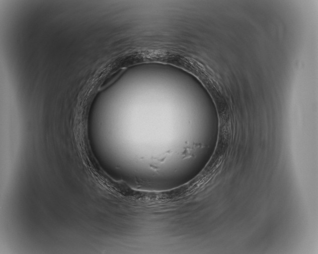 X0000116311345200912071300