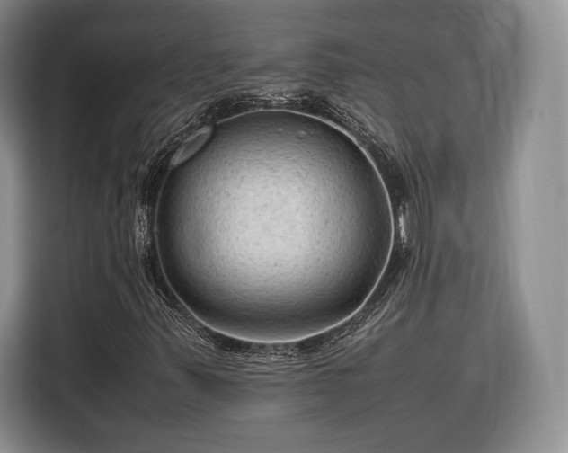 X0000116311347200912071300