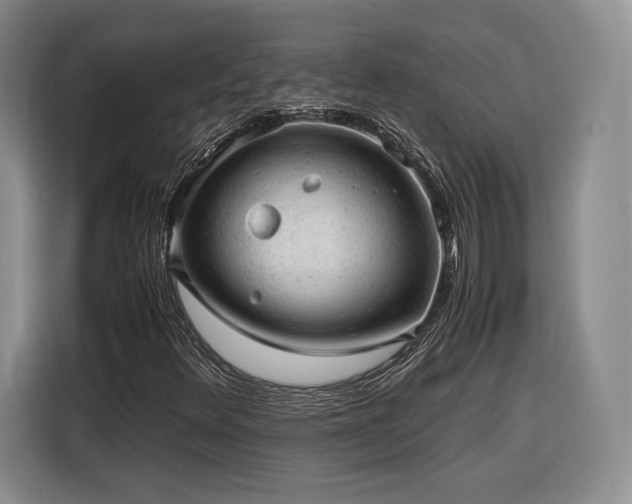 X0000116311348200912071300