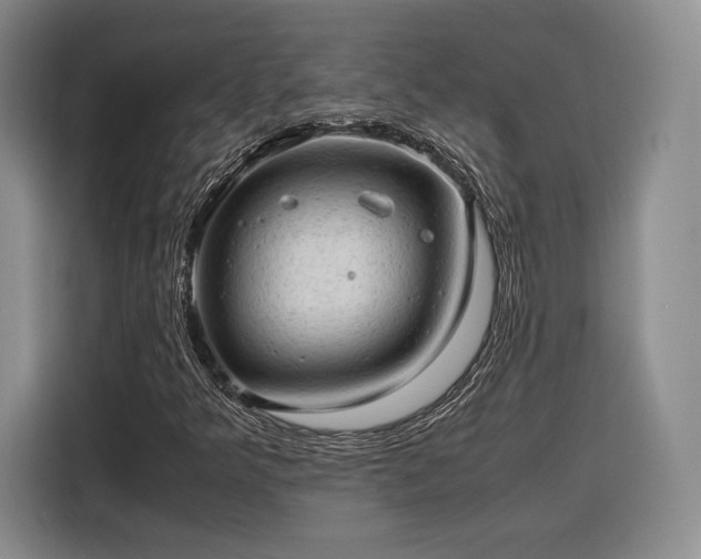 X0000116311349200912071300