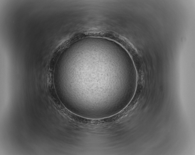 X0000116311350200912071300