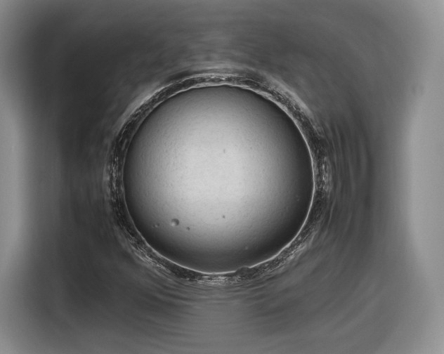 X0000116311352200912071300