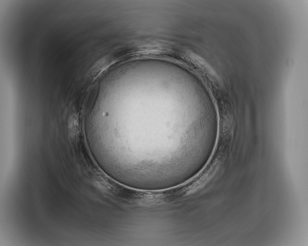 X0000116311353200912071300