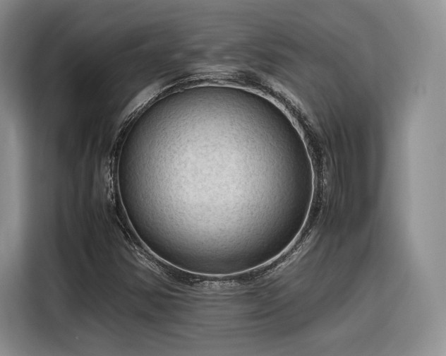 X0000116311354200912071300