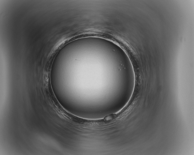 X0000116311355200912071300