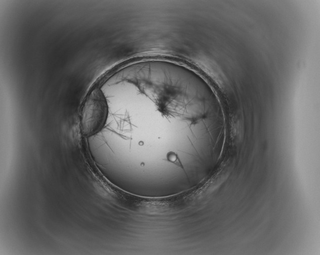 X0000116311356200912071300