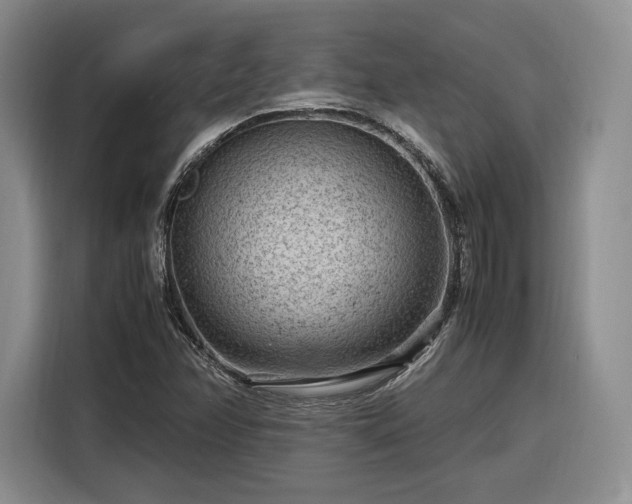 X0000116311358200912071300