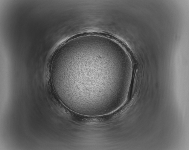 X0000116311359200912071300