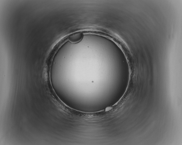 X0000116311360200912071300