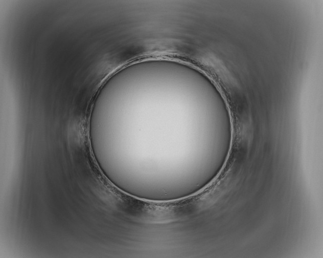 X0000116311361200912071300