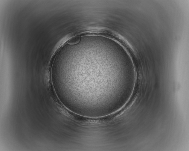 X0000116311362200912071300